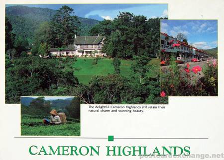 cameron highlands in malaysia