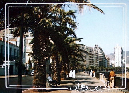 Oran - Le Boulevard de I'A.L.N.