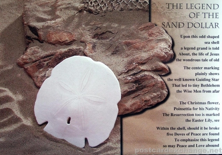 The Legend of the Sand Dollar