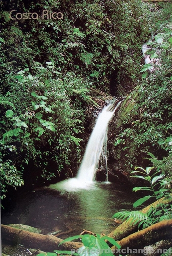 The Monteverde Cloud Forest Reserve
