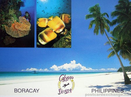 Boracay Diving - Calypso Diving