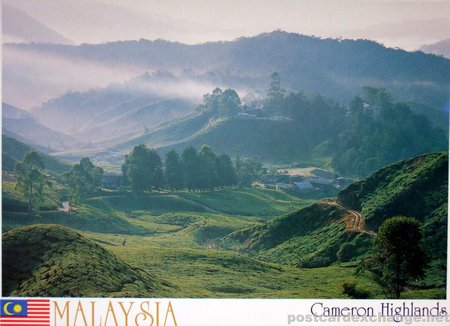 Cameron Highlands - Malaysia
