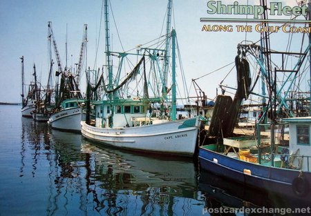 Shrimp fleet along the Gulf Coast