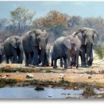 The African Elephants