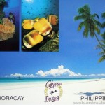 Boracay Diving – Calypso Diving