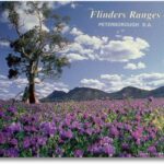 Flinders Ranges – Peterborough S.A.