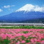 Shin-Kansen and Mt. Fuji